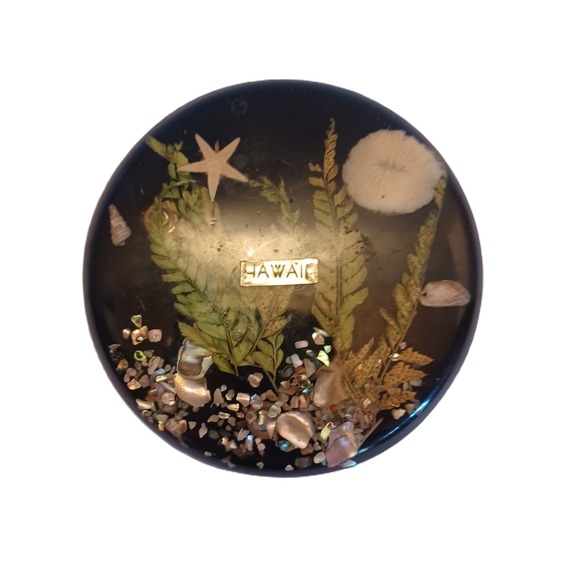 Unbranded Other - Hawaii Resin Fern Starfish Shell Decor